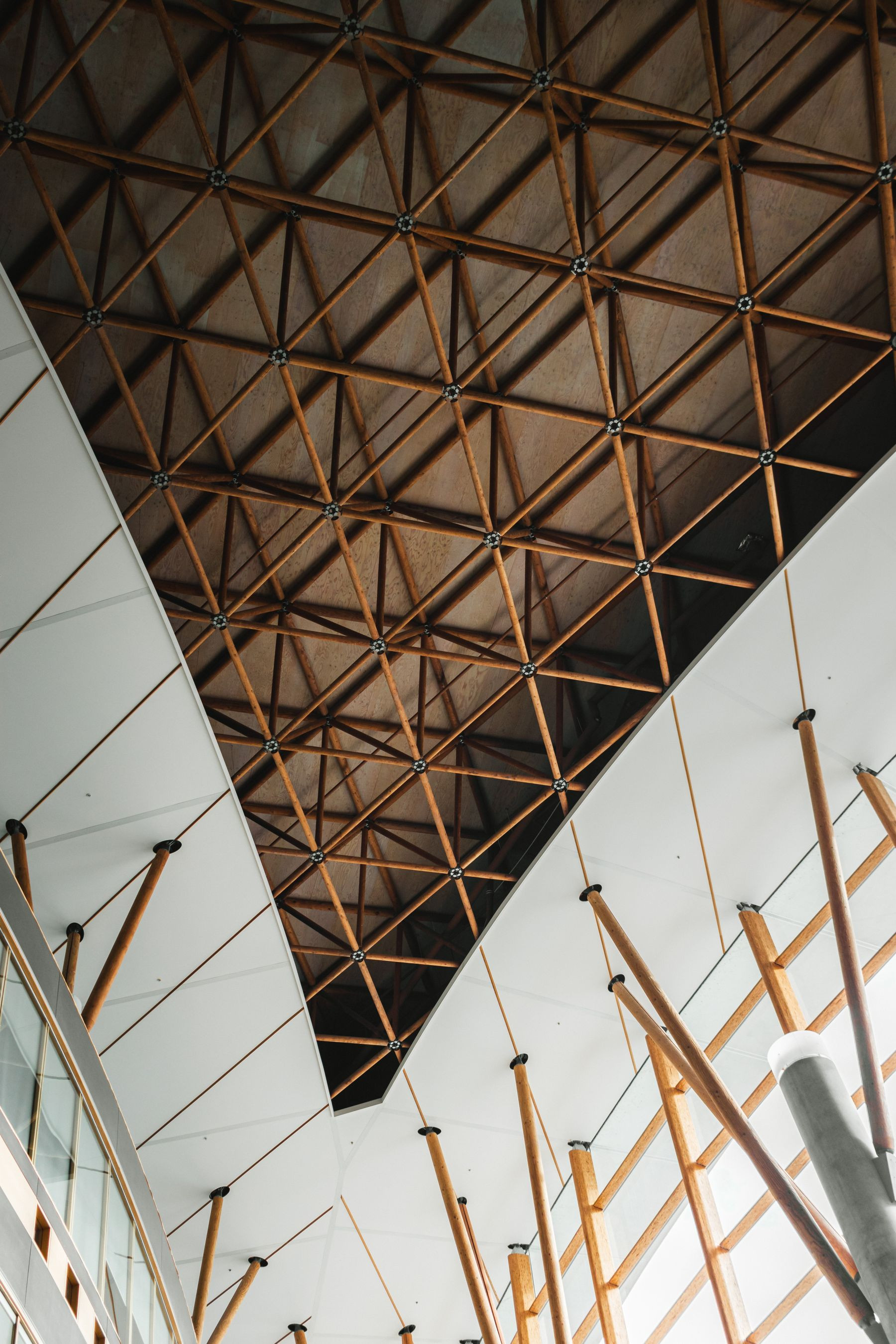 Timber lattice ceiling in a modern building